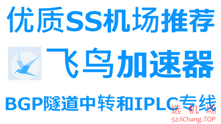 飞鸟加速器-优质SS机场推荐|国内入口BGP隧道中转和IPLC国际专线